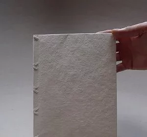 Reliure sans fermoirs